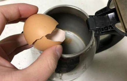 蛋壳去除茶垢